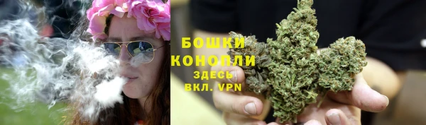 сатива Баксан