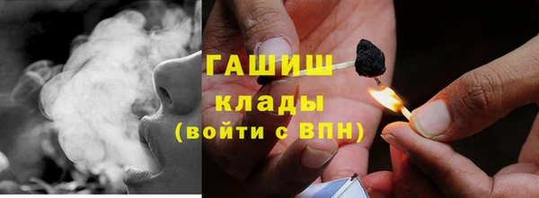 сатива Баксан