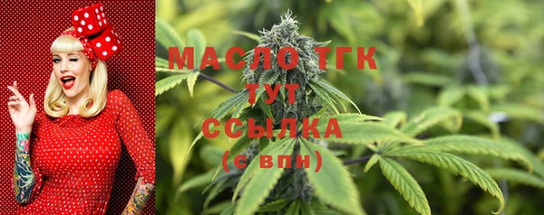сатива Баксан