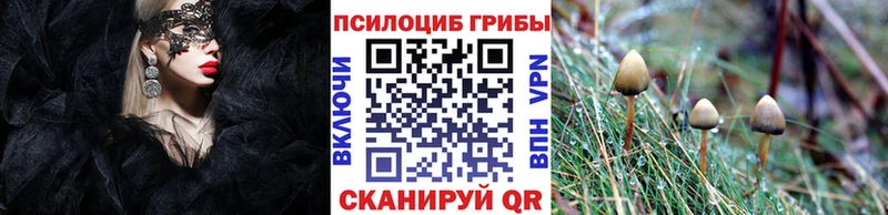 Псилоцибиновые грибы ЛСД Купить закладки Сковородино