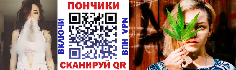 Каннабис сатива Купить Сковородино
